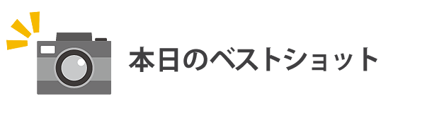 本日のベストショット!
